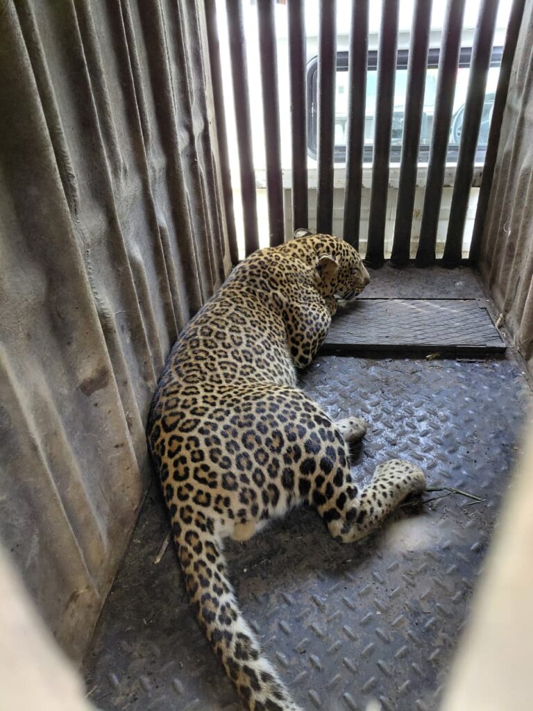 %imageWhatsApp-Image-2025-09-02-at-7.28.59-PM-768x1024 %images