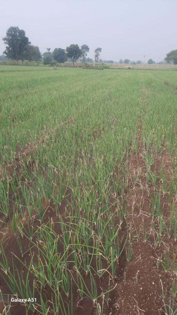 %imageWhatsApp-Image-2025-10-23-at-3.22.27-PM-576x1024 %images